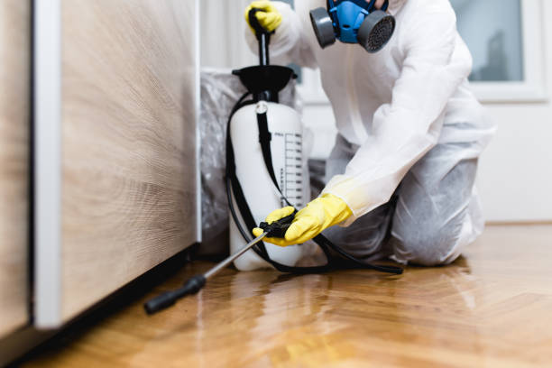 Best Local Pest Control Services  in Frontenac, KS