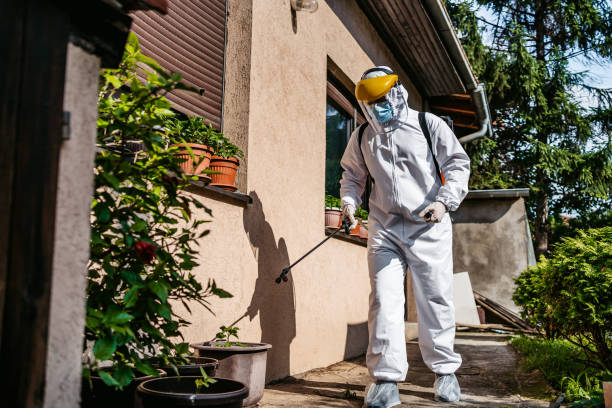 Best Best Pest Control Companies  in Frontenac, KS