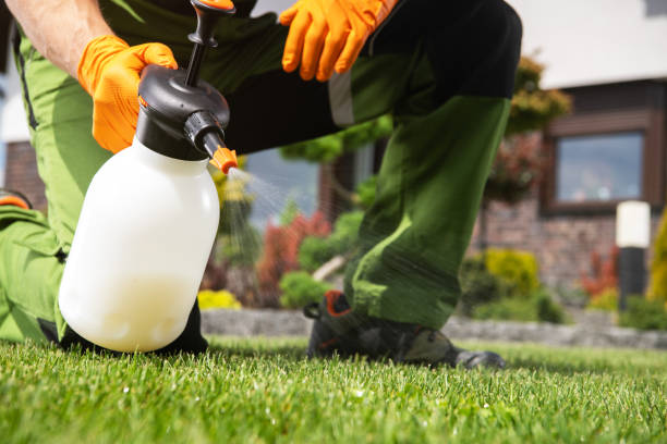 Best Affordable Exterminators  in Frontenac, KS