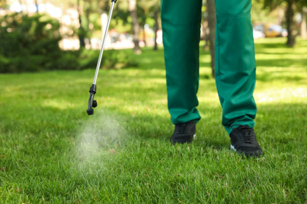 Wasp Removal Services in Frontenac, KS