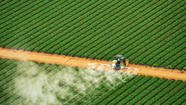 Pest Prevention Services in Frontenac, KS