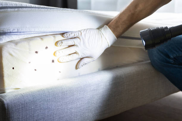 Best Affordable Pest Control Services  in Frontenac, KS