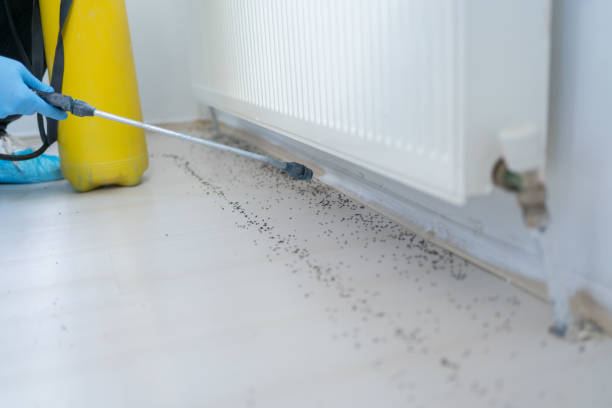 Professional Pest Control in Frontenac, KS